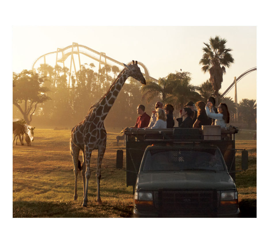 click here to buy busch gardens tampa bay tickets online now